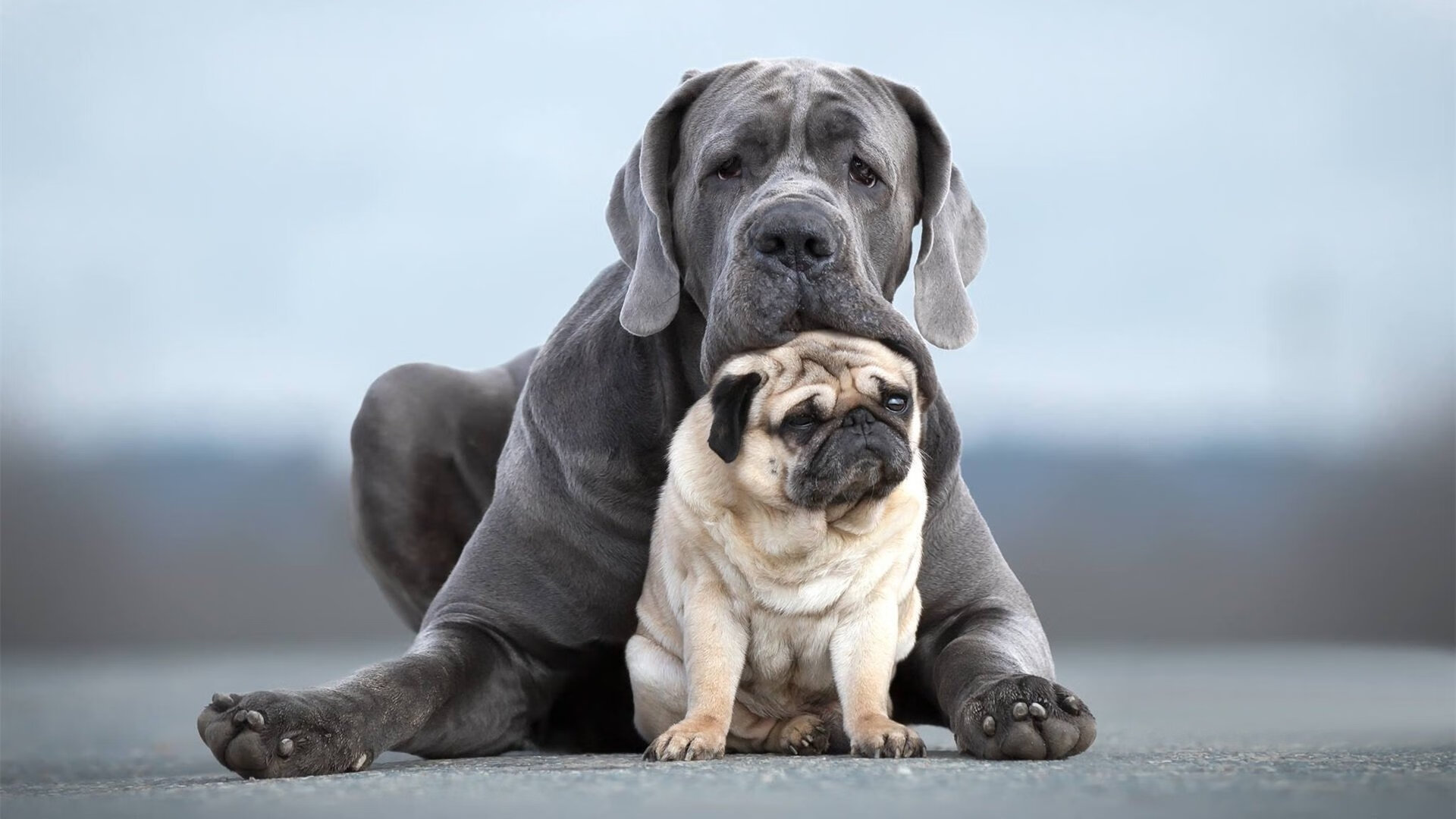 fb体育官网中国-Astralis 在 IEM Rio Major 中表现出色，astralic