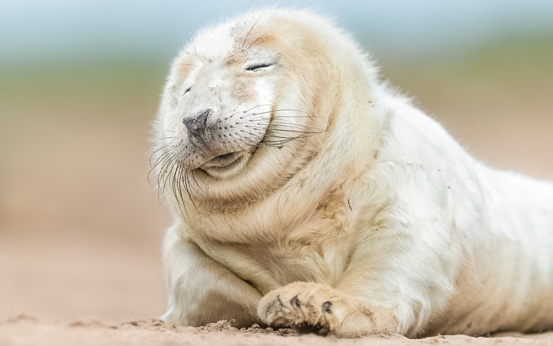 fb体育网站-塞浦路斯队在欧预赛中奋力拼搏，追赶晋级希望，塞浦路斯联赛水平怎么样