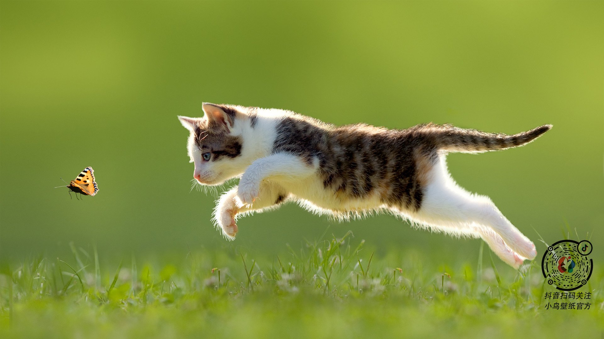 独立队防守表现提升,独立队防守表现提升怎么写