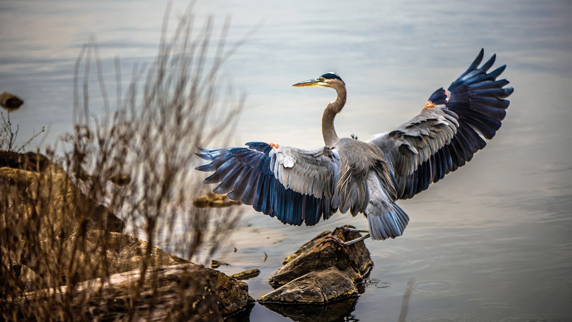瑞士马术协会举办马匹护理培训班,提高骑手护理技能。,瑞典马术队