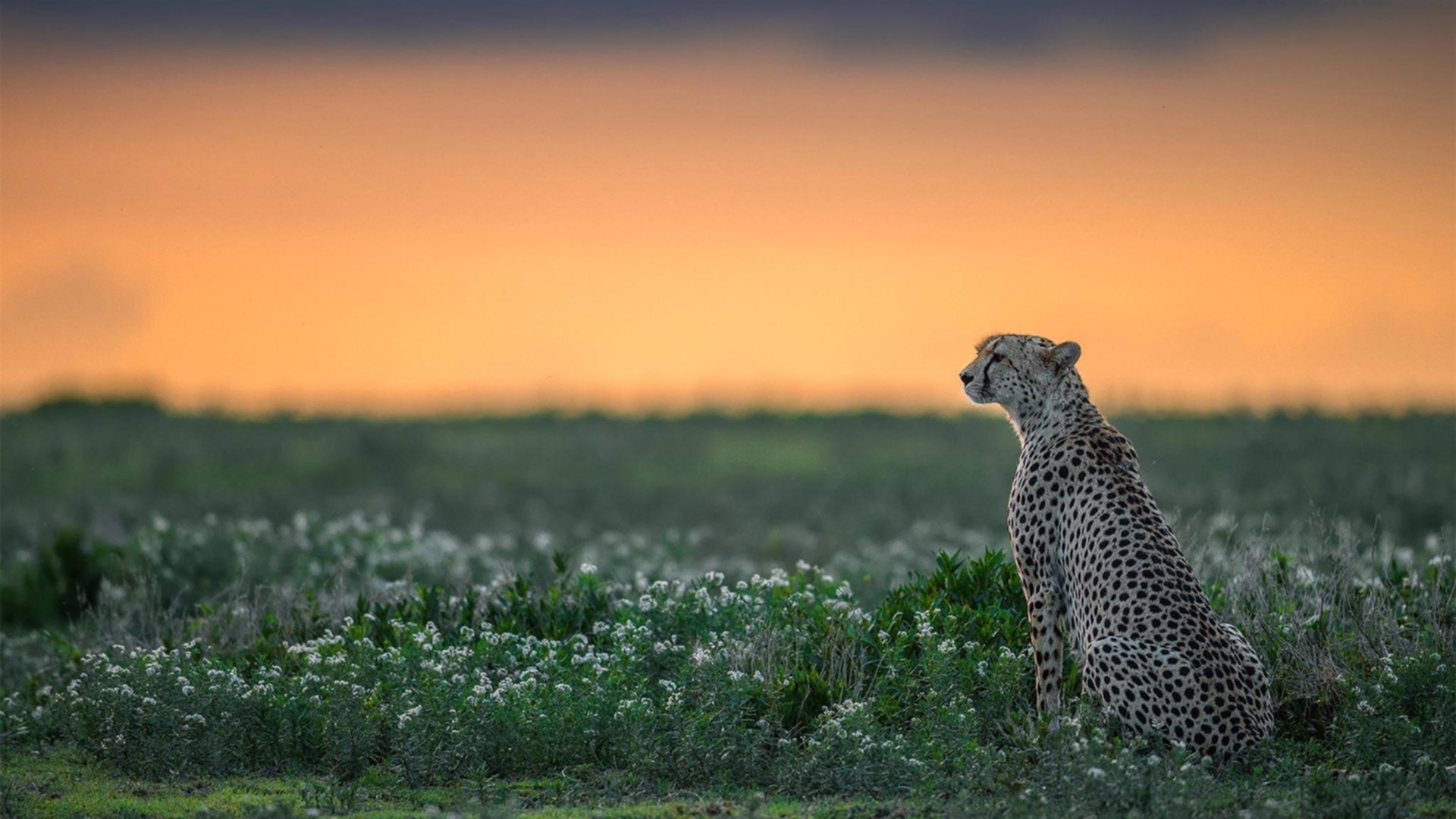 fb体育网页版-裁判公信力是否影响联赛观赏性，裁判员公平公正执裁原则是什么_