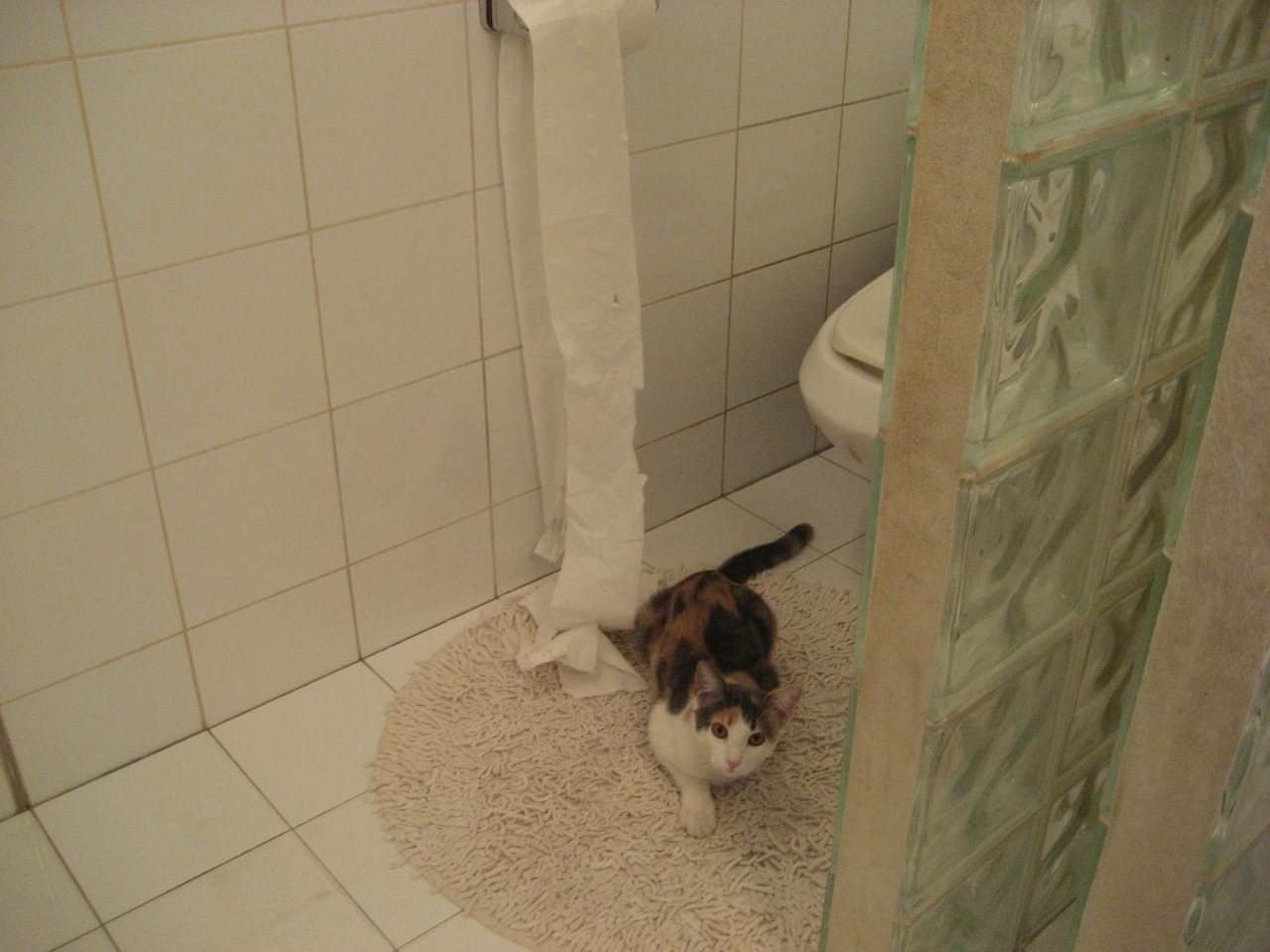 fb体育平台官网-重庆力帆后卫因伤离场，球队实力受影响，重庆力帆足球俱乐部球员名单