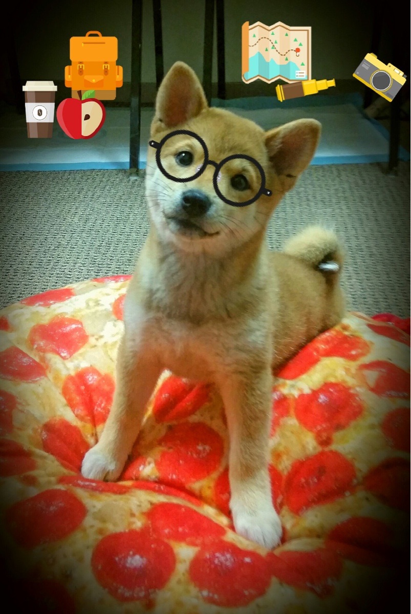 FB体育下载-重庆力帆失利在望，排名继续滑落，重庆力帆大名单