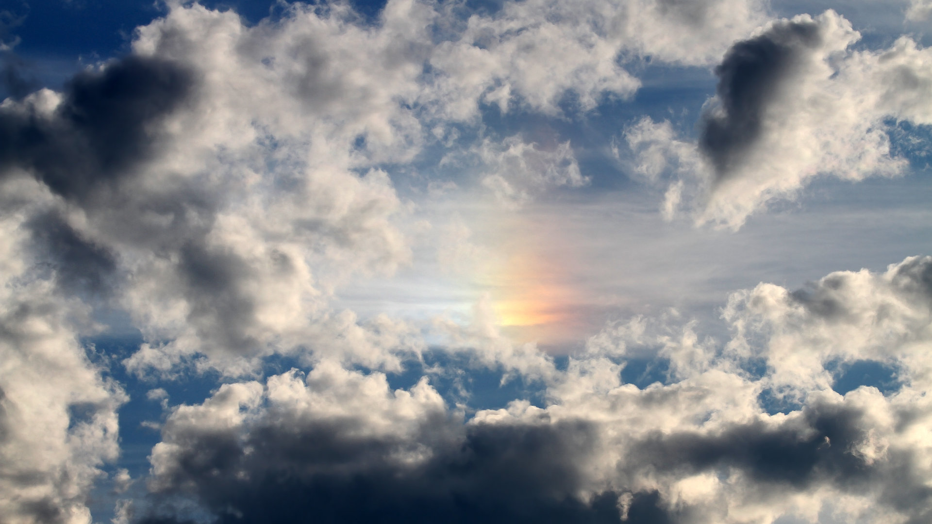 fb体育下载-勒沃库森快攻节奏打出致命突破，勒沃库森巅峰时期阵容