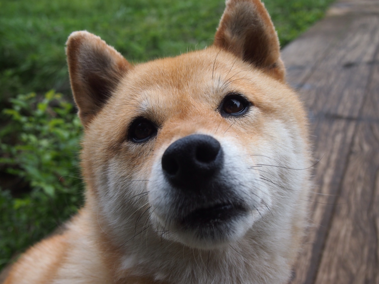 fb体育平台官网-西甲超级战士：用实力诠释足球运动的魅力，西甲榜首大战